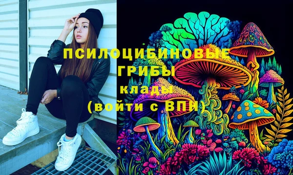 спиды Заволжск