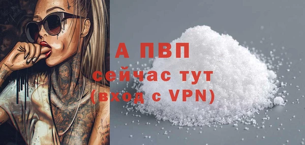 спиды Заволжск