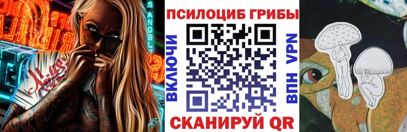 Купить закладки  Аша  Псилоцибиновые грибы GOLDEN TEACHER 